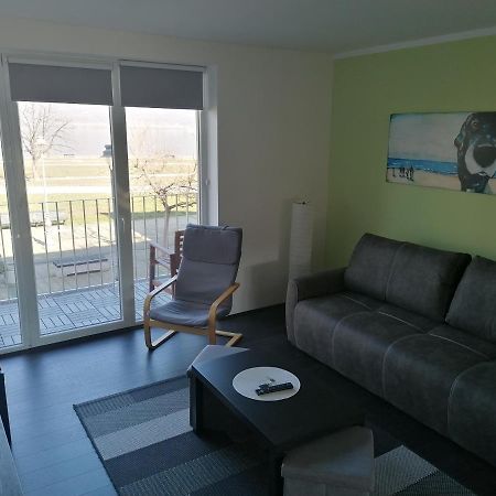 Apartman Terassa Donji Milanovac Eksteriør bilde