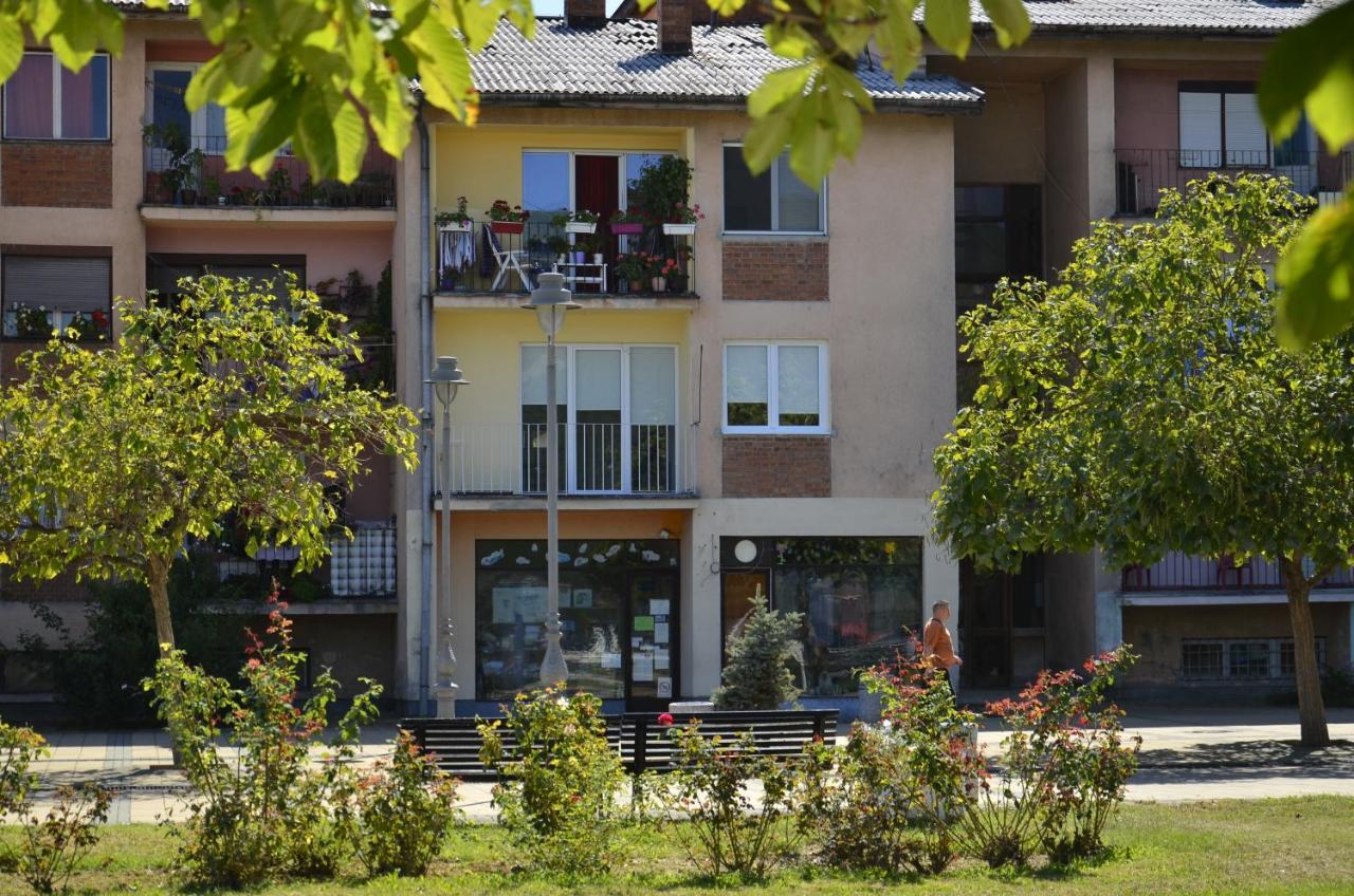 Apartman Terassa Donji Milanovac Eksteriør bilde