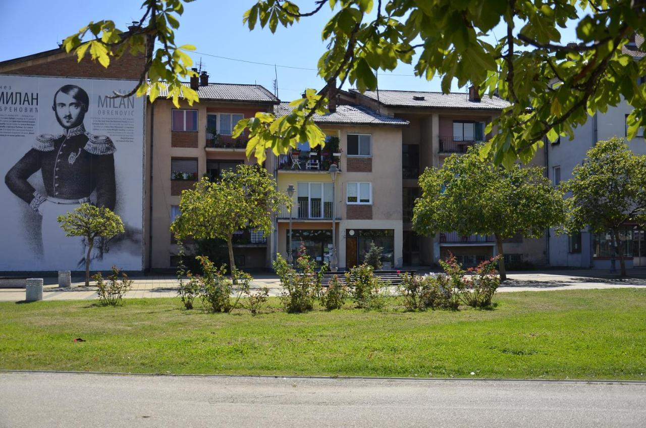 Apartman Terassa Donji Milanovac Eksteriør bilde