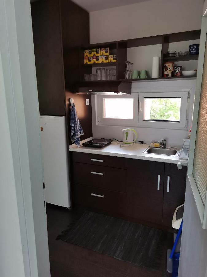 Apartman Terassa Donji Milanovac Eksteriør bilde
