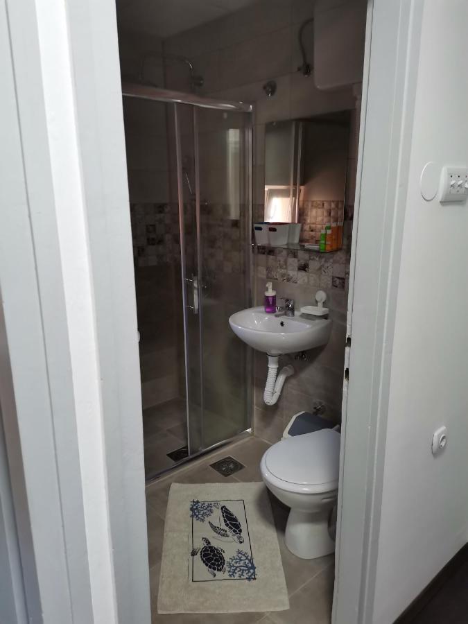 Apartman Terassa Donji Milanovac Eksteriør bilde