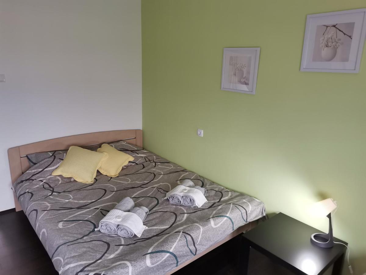 Apartman Terassa Donji Milanovac Eksteriør bilde