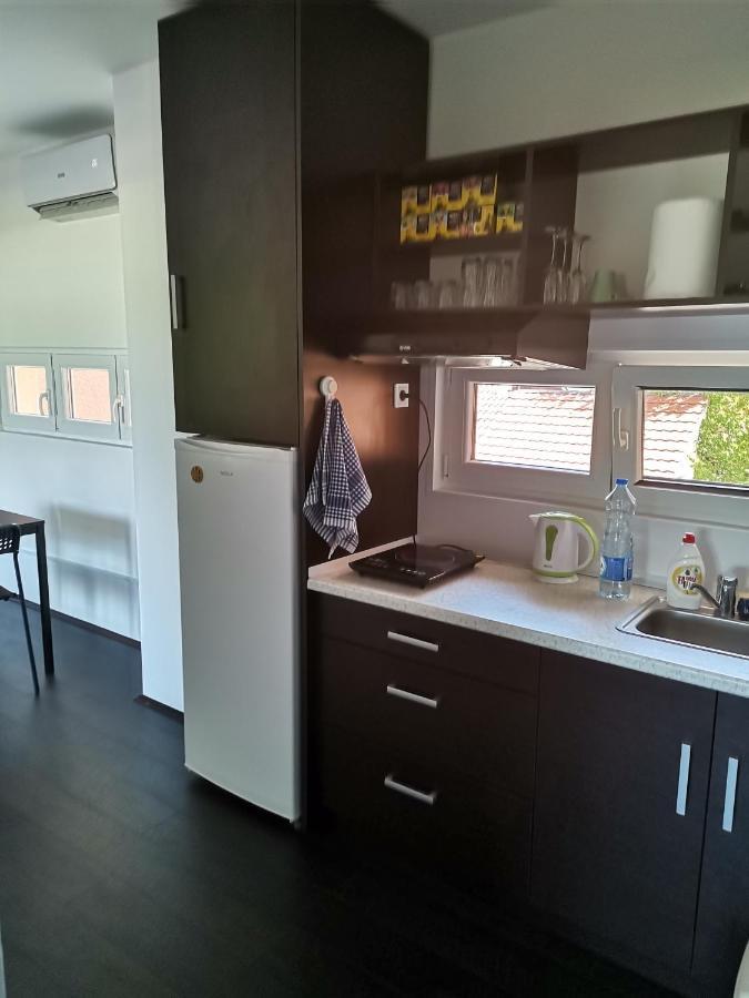 Apartman Terassa Donji Milanovac Eksteriør bilde