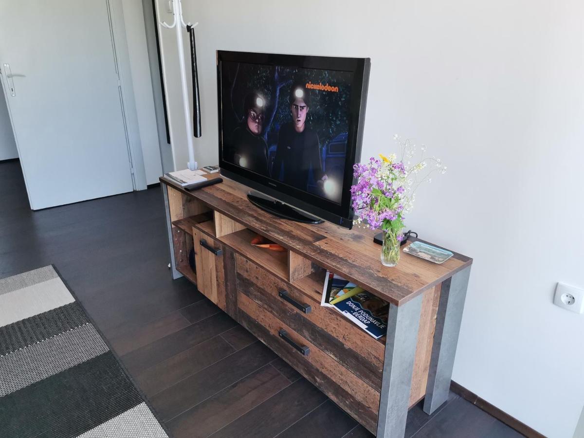 Apartman Terassa Donji Milanovac Eksteriør bilde