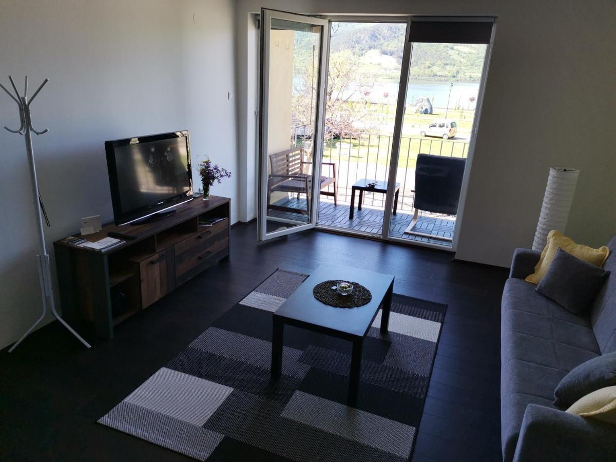 Apartman Terassa Donji Milanovac Eksteriør bilde