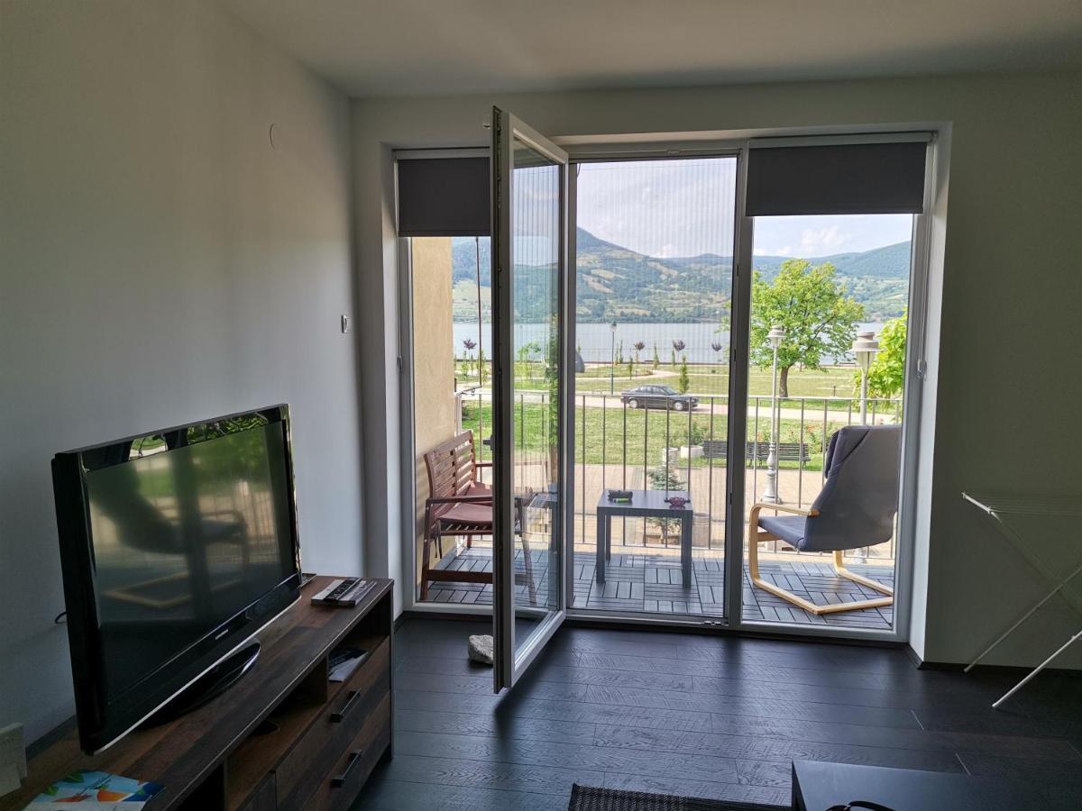 Apartman Terassa Donji Milanovac Eksteriør bilde