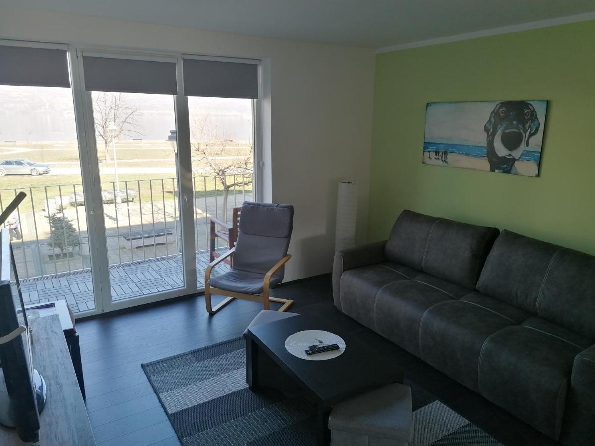 Apartman Terassa Donji Milanovac Eksteriør bilde