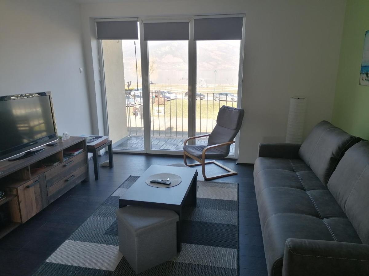 Apartman Terassa Donji Milanovac Eksteriør bilde